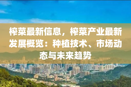 榨菜最新信息，榨菜产业最新发展概览：种植技术、市场动态与未来趋势