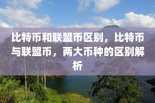 比特币和联盟币区别，比特币与联盟币，两大币种的区别解析