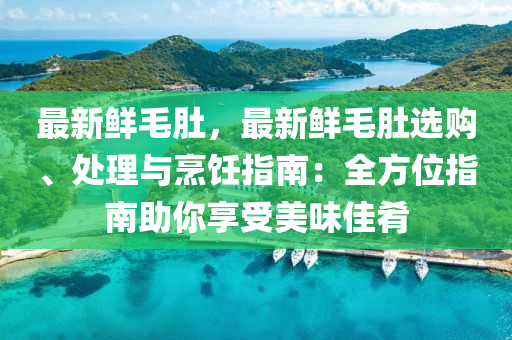 最新鲜毛肚，最新鲜毛肚选购、处理与烹饪指南：全方位指南助你享受美味佳肴