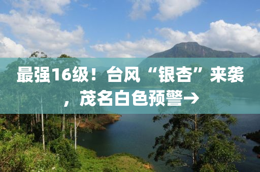 2025年1月17日 第15页