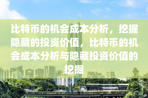 比特币的机会成本分析，挖掘隐藏的投资价值，比特币的机会成本分析与隐藏投资价值的挖掘