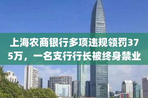 上海农商银行多项违规领罚375万，一名支行行长被终身禁业