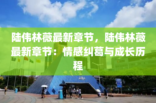 陆伟林薇最新章节，陆伟林薇最新章节：情感纠葛与成长历程