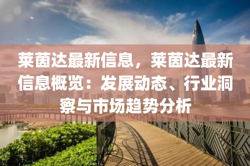 莱茵达最新信息，莱茵达最新信息概览：发展动态、行业洞察与市场趋势分析