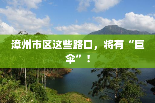 漳州市区这些路口，将有“巨伞”！
