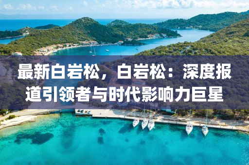 最新白岩松，白岩松：深度报道引领者与时代影响力巨星
