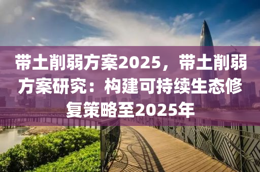 带土削弱方案2025，带土削弱方案研究：构建可持续生态修复策略至2025年