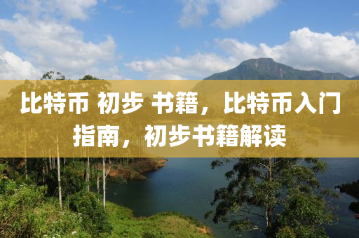 比特币 初步 书籍，比特币入门指南，初步书籍解读