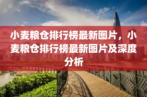 小麦粮仓排行榜最新图片，小麦粮仓排行榜最新图片及深度分析