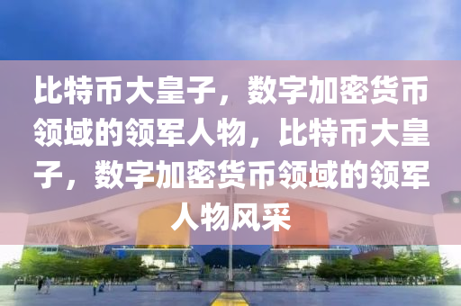 比特币大皇子，数字加密货币领域的领军人物，比特币大皇子，数字加密货币领域的领军人物风采