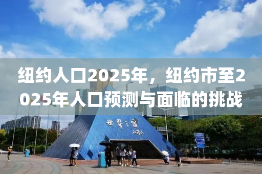 纽约人口2025年，纽约市至2025年人口预测与面临的挑战