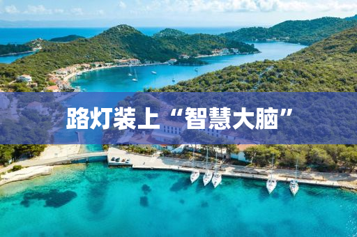 路灯装上“智慧大脑”