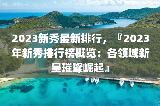 2023新秀最新排行，『2023年新秀排行榜概览：各领域新星璀璨崛起』