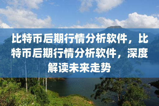 比特币后期行情分析软件，比特币后期行情分析软件，深度解读未来走势