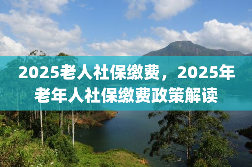 2025老人社保缴费，2025年老年人社保缴费政策解读
