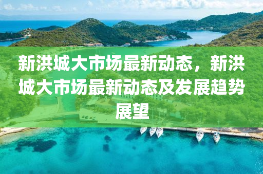 新洪城大市场最新动态，新洪城大市场最新动态及发展趋势展望