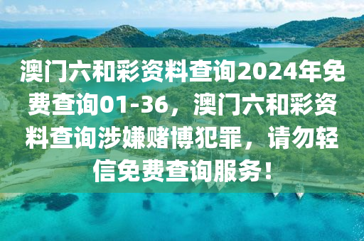 2024年12月5日 第29页