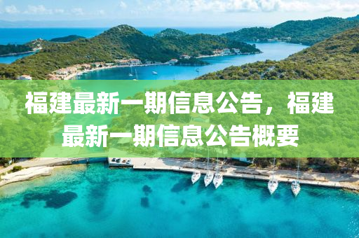 福建最新一期信息公告，福建最新一期信息公告概要