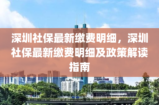 深圳社保最新缴费明细，深圳社保最新缴费明细及政策解读指南