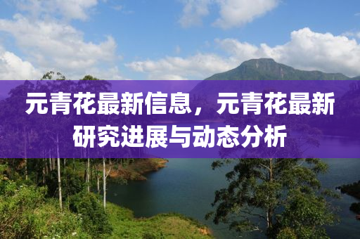 元青花最新信息，元青花最新研究进展与动态分析