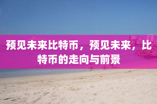 预见未来比特币，预见未来，比特币的走向与前景