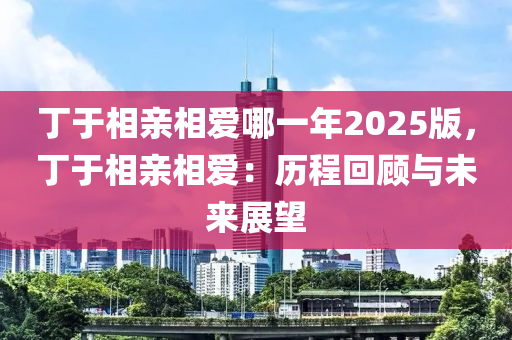 丁于相亲相爱哪一年2025版，丁于相亲相爱：历程回顾与未来展望
