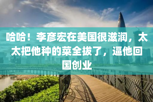 哈哈！李彦宏在美国很滋润，太太把他种的菜全拔了，逼他回国创业