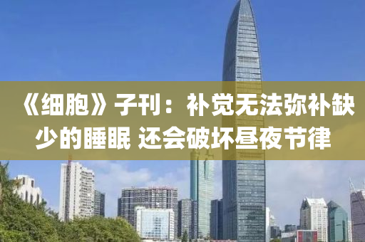 《细胞》子刊：补觉无法弥补缺少的睡眠 还会破坏昼夜节律