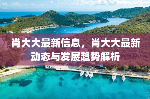 肖大大最新信息，肖大大最新动态与发展趋势解析