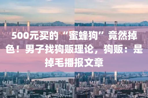 500元买的“蜜蜂狗”竟然掉色！男子找狗贩理论，狗贩：是掉毛播报文章