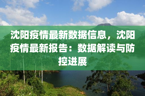 沈阳疫情最新数据信息，沈阳疫情最新报告：数据解读与防控进展