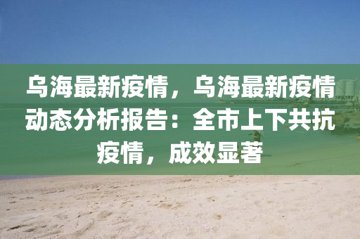 乌海最新疫情，乌海最新疫情动态分析报告：全市上下共抗疫情，成效显著
