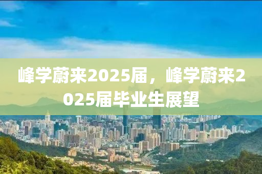 峰学蔚来2025届，峰学蔚来2025届毕业生展望