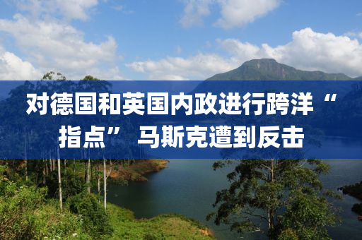 对德国和英国内政进行跨洋“指点” 马斯克遭到反击