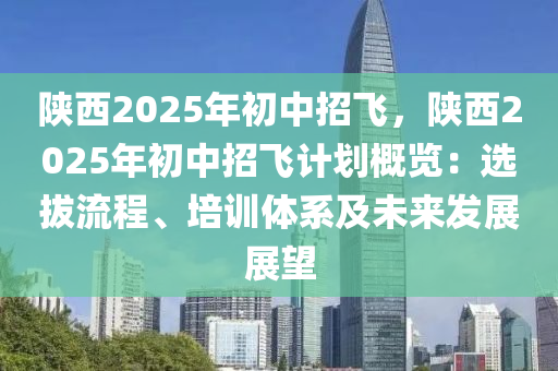 陕西2025年初中招飞，陕西2025年初中招飞计划概览：选拔流程、培训体系及未来发展展望