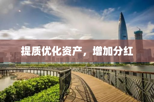 提质优化资产，增加分红
