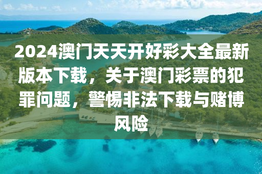 2024年12月5日 第19页