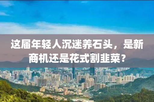 这届年轻人沉迷养石头，是新商机还是花式割韭菜？