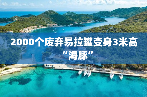 2000个废弃易拉罐变身3米高“海豚”