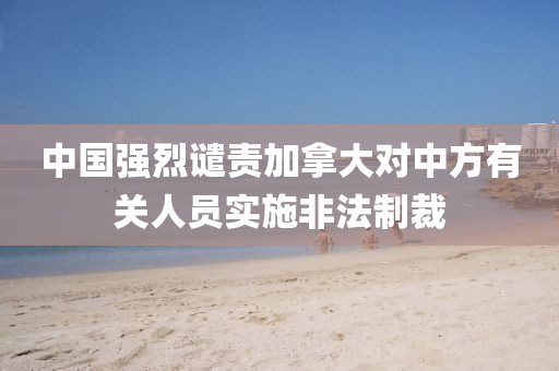 中国强烈谴责加拿大对中方有关人员实施非法制裁