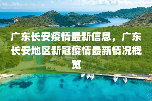 广东长安疫情最新信息，广东长安地区新冠疫情最新情况概览