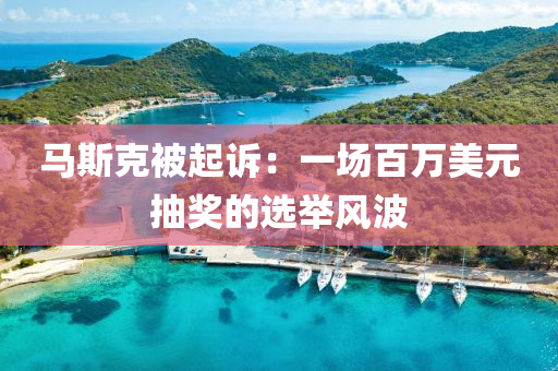 马斯克被起诉：一场百万美元抽奖的选举风波