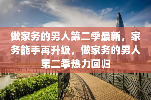 做家务的男人第二季最新，家务能手再升级，做家务的男人第二季热力回归