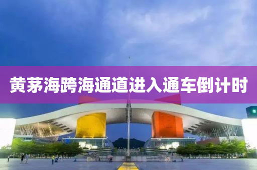 黄茅海跨海通道进入通车倒计时
