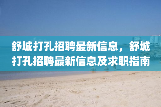舒城打孔招聘最新信息，舒城打孔招聘最新信息及求职指南