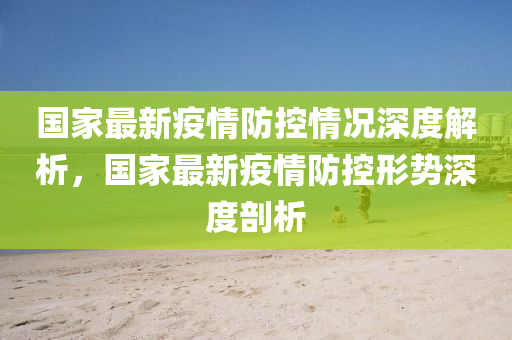 国家最新疫情防控情况深度解析，国家最新疫情防控形势深度剖析