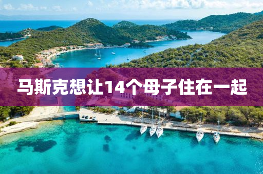 马斯克想让14个母子住在一起