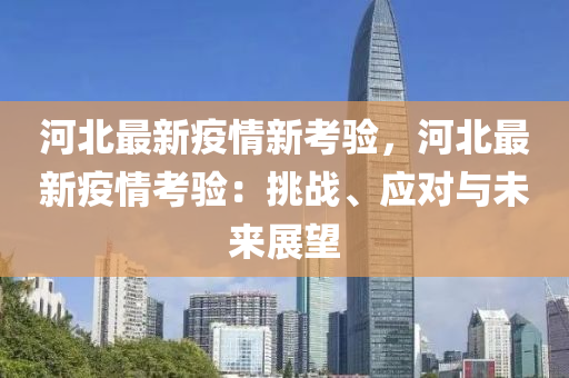 河北最新疫情新考验，河北最新疫情考验：挑战、应对与未来展望