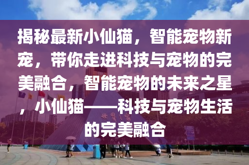 揭秘最新小仙猫，智能宠物新宠，带你走进科技与宠物的完美融合，智能宠物的未来之星，小仙猫——科技与宠物生活的完美融合