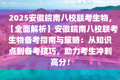 2025年1月24日 第43页